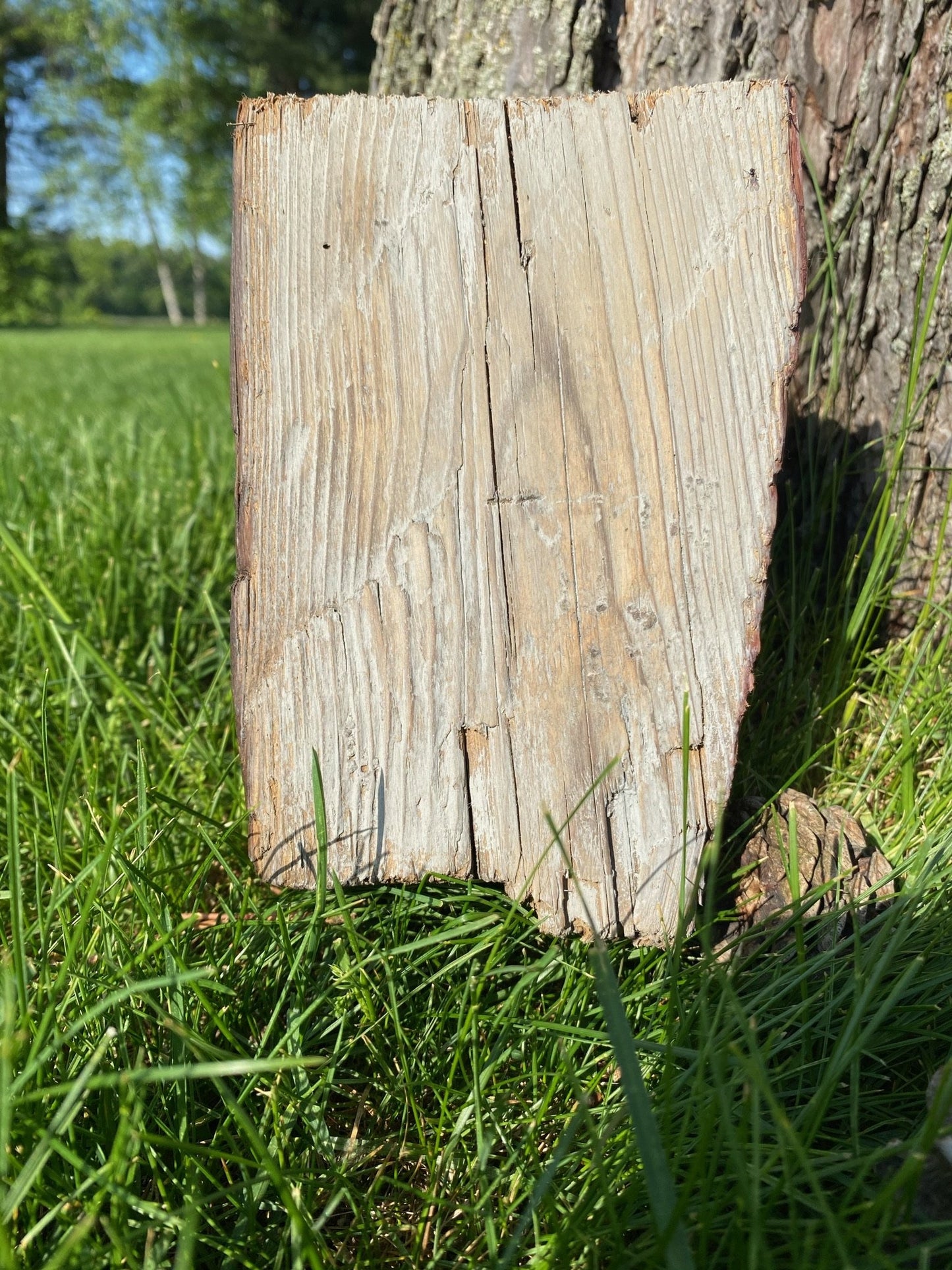 Custom made light fixture on 100-year-old barn wood from Quebec