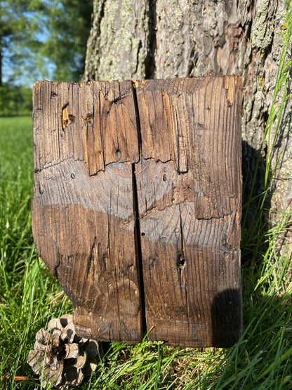 Custom made light fixture on 100-year-old barn wood from Quebec