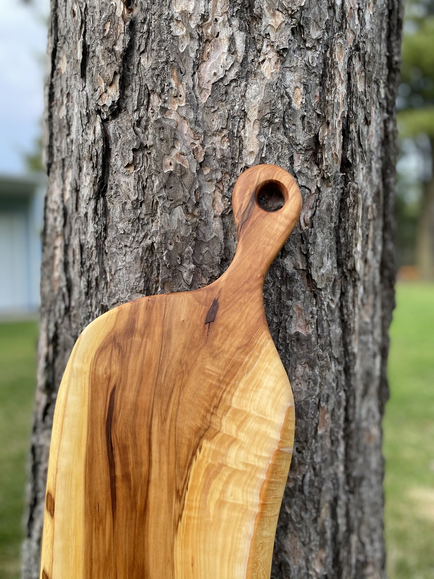 Plateau de charcuteries fait en bois de pommier du Québec